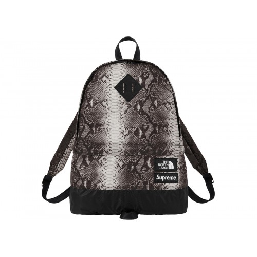 Supreme x The North Face Backpack Youbetterfly, UAE